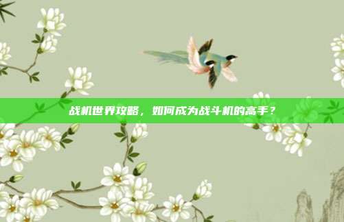 战机世界攻略,如何成为战斗机的高手?