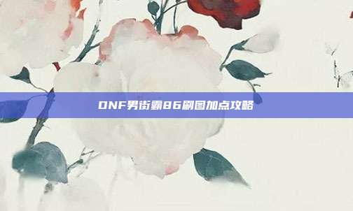 DNF男街霸86刷图加点攻略