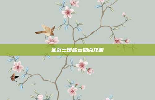 全战三国赵云加点攻略
