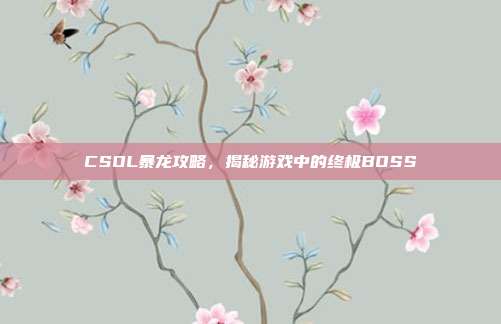 CSOL暴龙攻略，揭秘游戏中的终极BOSS