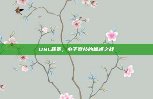 DSL联赛,电子竞技的巅峰之战