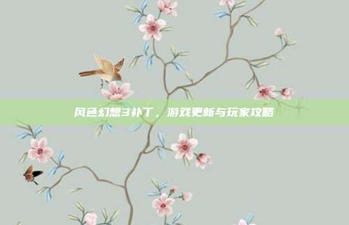 风色幻想3补丁，游戏更新与玩家攻略