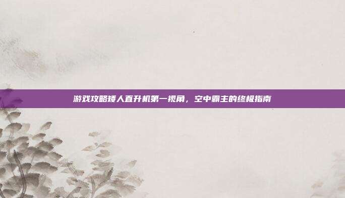 游戏攻略矮人直升机第一视角,空中霸主的终极指南