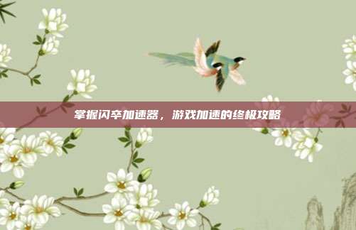 掌握闪卒加速器,游戏加速的终极攻略