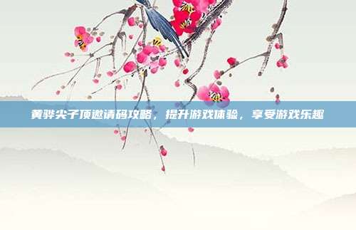 黄骅尖子顶邀请码攻略,提升游戏体验,享受游戏乐趣