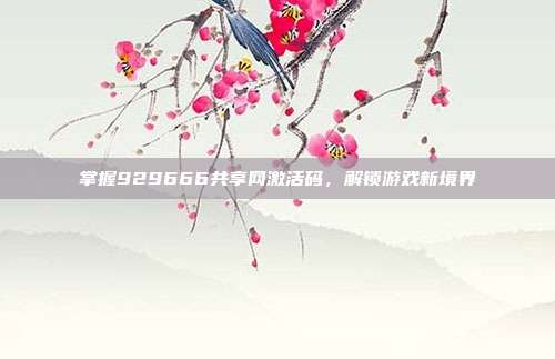 掌握929666共享网激活码,解锁游戏新境界