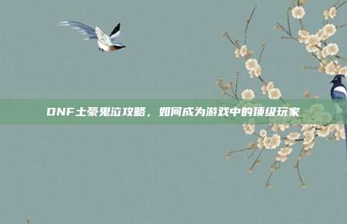DNF土豪鬼泣攻略,如何成为游戏中的顶级玩家