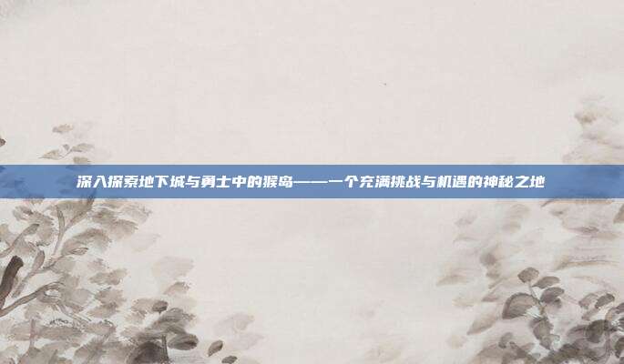 深入探索地下城与勇士中的猴岛——一个充满挑战与机遇的神秘之地