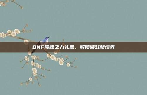 DNF巅峰之力礼盒,解锁游戏新境界