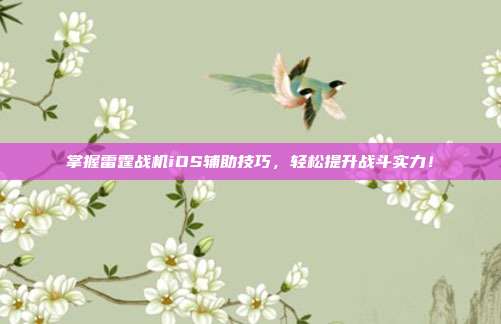 掌握雷霆战机iOS辅助技巧，轻松提升战斗实力！