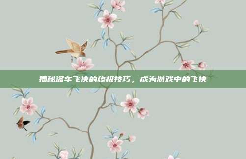 揭秘盗车飞侠的终极技巧,成为游戏中的飞侠