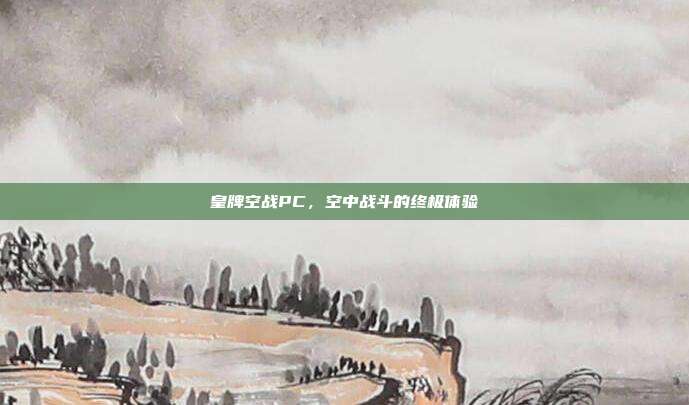 皇牌空战PC,空中战斗的终极体验