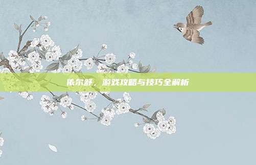 依尔舒，游戏攻略与技巧全解析