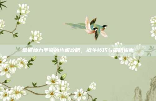 掌握神力手游的终极攻略,战斗技巧与策略指南