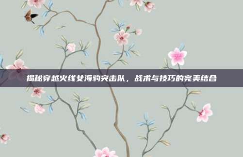揭秘穿越火线女海豹突击队,战术与技巧的完美结合