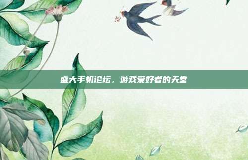 盛大手机论坛,游戏爱好者的天堂