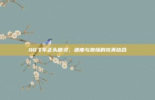 QQ飞车正头精灵,速度与激情的完美结合