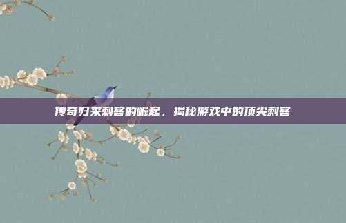 传奇归来刺客的崛起,揭秘游戏中的顶尖刺客