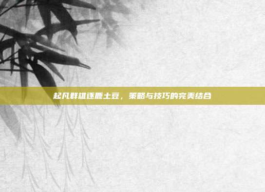 起凡群雄逐鹿土豆，策略与技巧的完美结合
