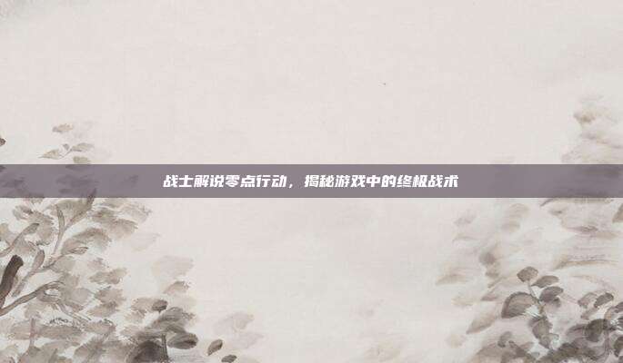 战士解说零点行动,揭秘游戏中的终极战术