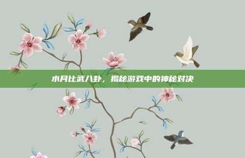 水月比武八卦,揭秘游戏中的神秘对决