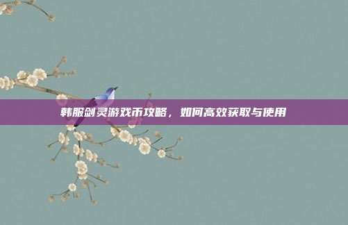韩服剑灵游戏币攻略,如何高效获取与使用