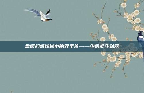 掌握幻想神域中的双手斧——终极战斗利器