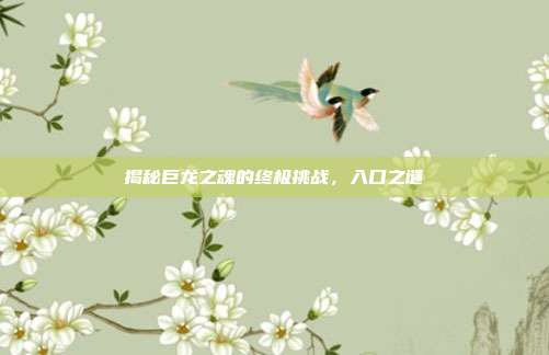 揭秘巨龙之魂的终极挑战,入口之谜