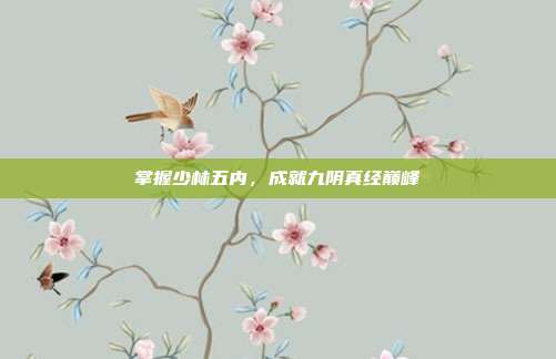掌握少林五内，成就九阴真经巅峰