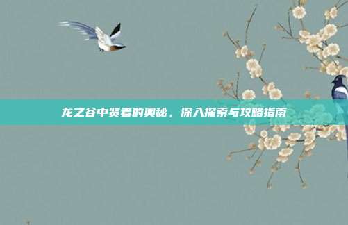 龙之谷中贤者的奥秘，深入探索与攻略指南