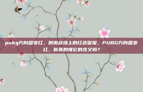 pubg方向盘变红，刺激战场上的红色警报，PUBG方向盘变红，你真的懂它的含义吗？