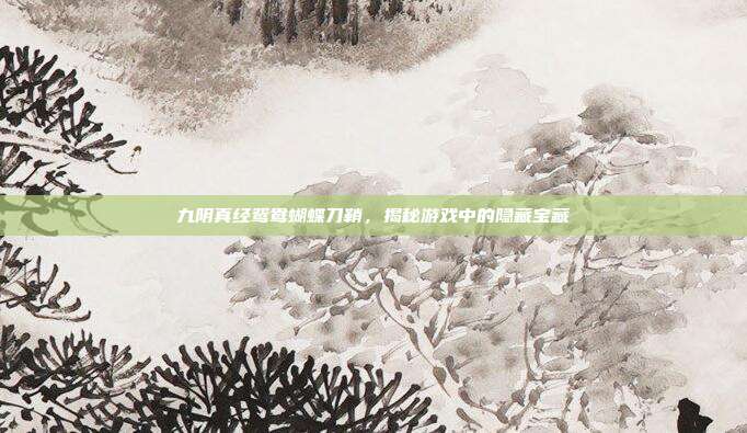 九阴真经鸳鸯蝴蝶刀鞘,揭秘游戏中的隐藏宝藏