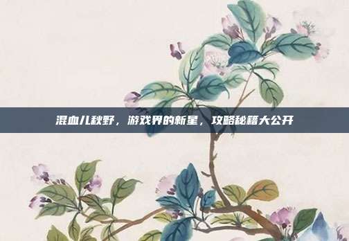 混血儿秋野,游戏界的新星,攻略秘籍大公开