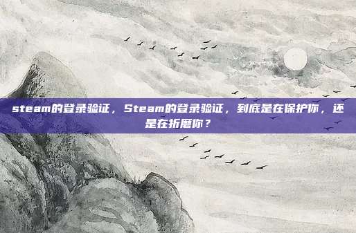 steam的登录验证,Steam的登录验证,到底是在保护你,还是在折磨你?
