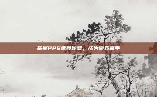 掌握PPS武尊秘籍,成为游戏高手