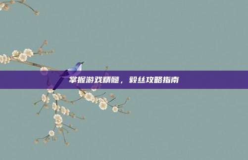 掌握游戏精髓,毅丝攻略指南