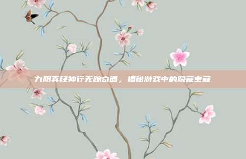 九阴真经神行无踪奇遇,揭秘游戏中的隐藏宝藏