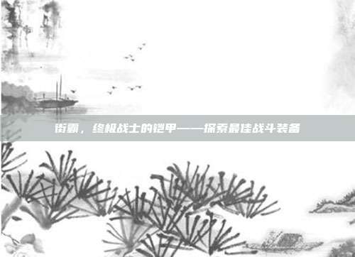街霸,终极战士的铠甲——探索最佳战斗装备