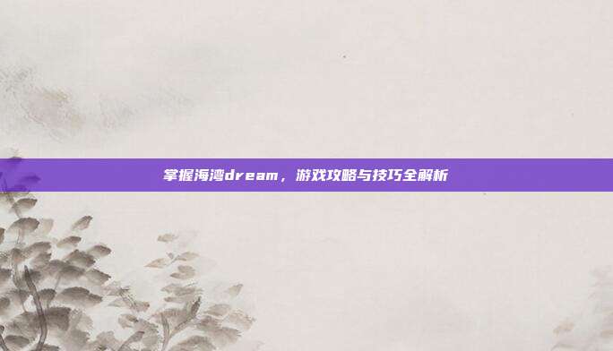 掌握海湾dream,游戏攻略与技巧全解析