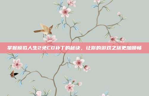 掌握模拟人生2免CD补丁的秘诀,让你的游戏之旅更加顺畅
