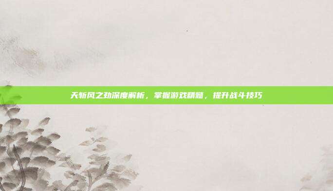 天斩风之劲深度解析,掌握游戏精髓,提升战斗技巧