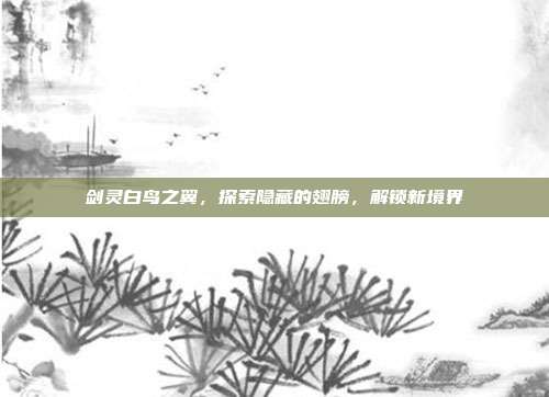 剑灵白鸟之翼,探索隐藏的翅膀,解锁新境界