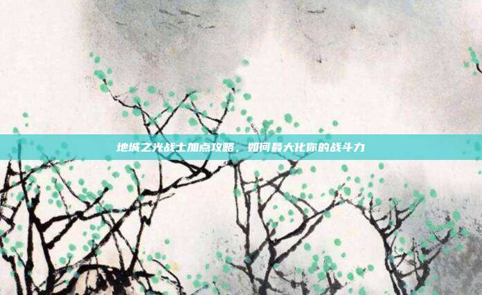 地城之光战士加点攻略,如何最大化你的战斗力