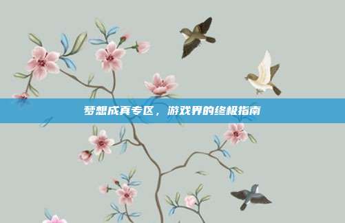 梦想成真专区,游戏界的终极指南