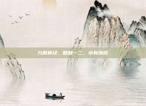 九阴真经,略知一二,小有所成
