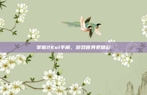 掌握2Kol手柄，游戏世界更精彩