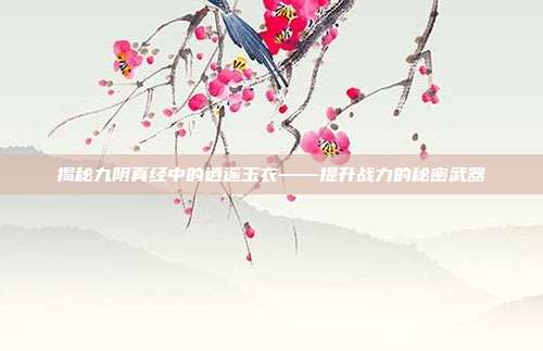 揭秘九阴真经中的逍遥玉衣——提升战力的秘密武器