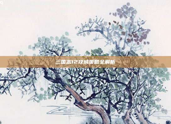 三国志12攻城策略全解析