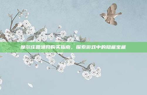 摩尔庄园渔网购买指南,探索游戏中的隐藏宝藏