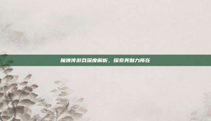 魔侠传游戏深度解析，探索其魅力所在